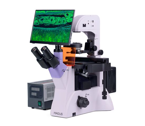 Микроскоп люминесцентный инвертированный цифровой MAGUS Lum VD500 LCD, фото , изображение 2