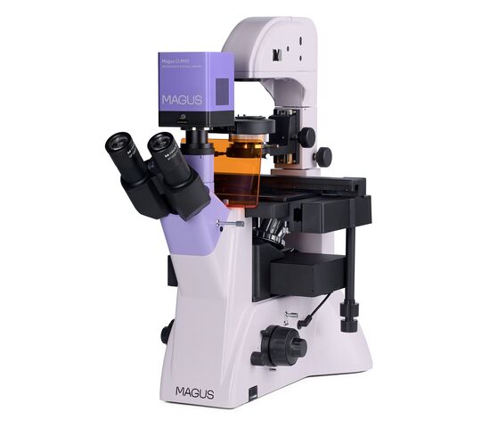 Микроскоп люминесцентный инвертированный цифровой MAGUS Lum VD500L, фото , изображение 2
