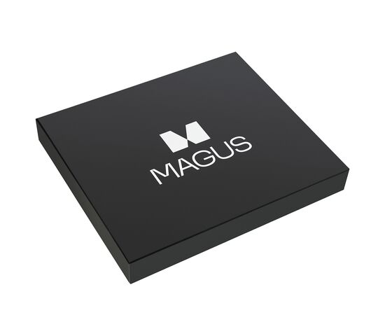 Подарочный набор MAGUS, фото , изображение 8