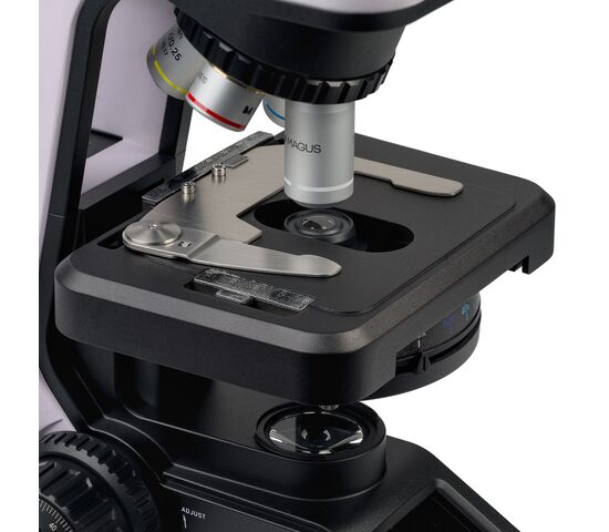 Микроскоп биологический цифровой MAGUS Bio DH240, фото , изображение 10