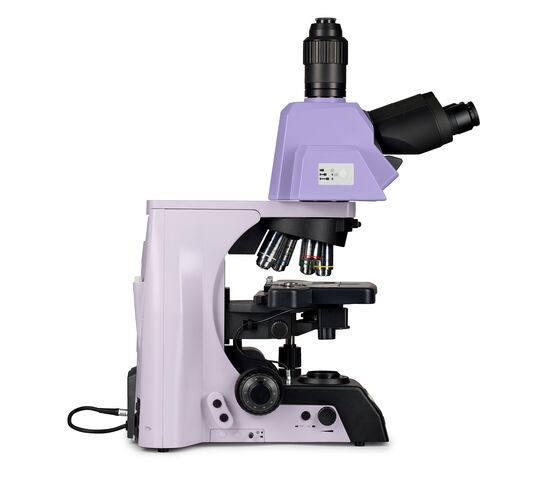 Микроскоп биологический MAGUS Bio 290T, фото , изображение 5