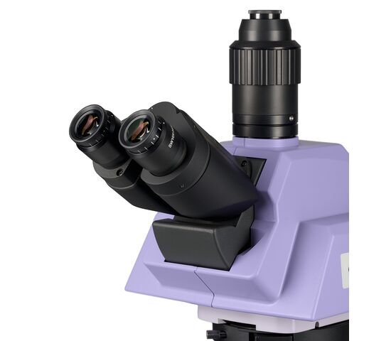 Микроскоп биологический MAGUS Bio 290T, фото , изображение 7