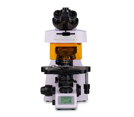 Микроскоп люминесцентный MAGUS Lum 450L, фото , изображение 6