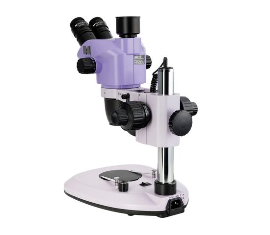 Микроскоп стереоскопический MAGUS Stereo 8T, фото , изображение 2