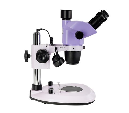 Микроскоп стереоскопический MAGUS Stereo 8T, фото , изображение 5