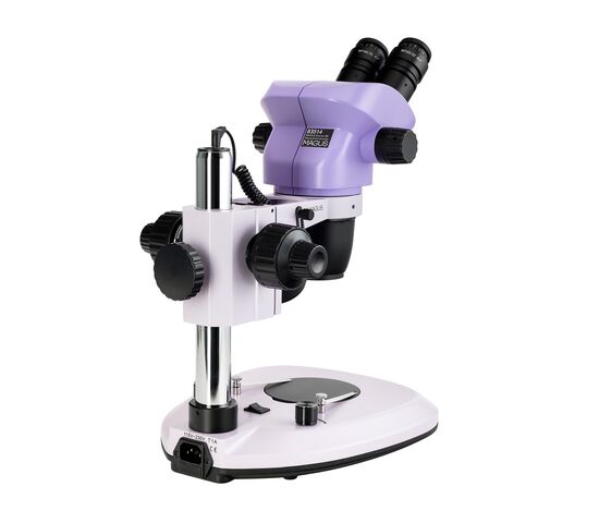 Микроскоп стереоскопический MAGUS Stereo 8B, фото , изображение 3