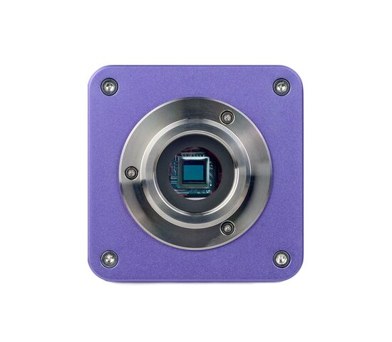 Микроскоп стереоскопический цифровой MAGUS Stereo D8T BASE, фото , изображение 12