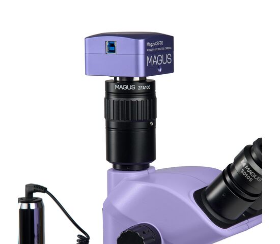Микроскоп стереоскопический цифровой MAGUS Stereo D8T PLUS, фото , изображение 3