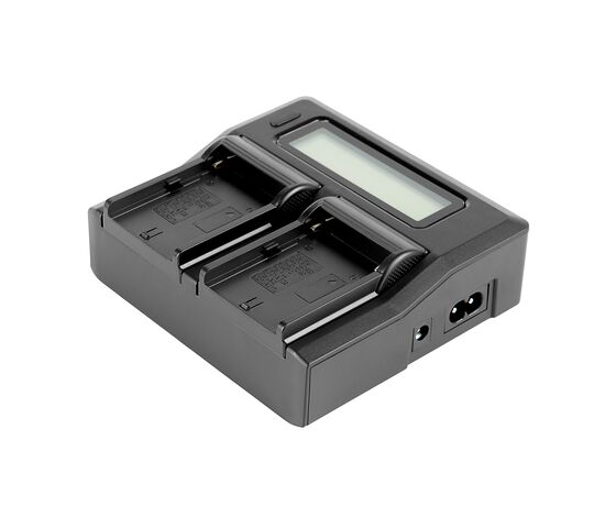 Зарядное устройство GreenBean DualCharger NPF-LCD, фото 