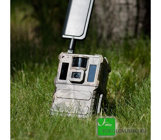 Фотоловушка SEELOCK S478W, фото , изображение 2