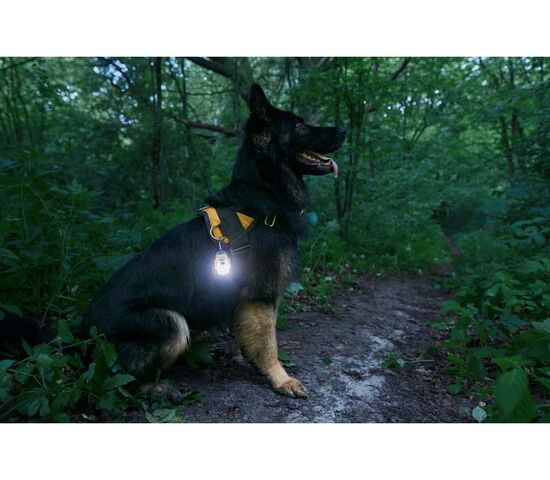 Мультифонарь Armytek Crystal Pro IR Grey, фото , изображение 15