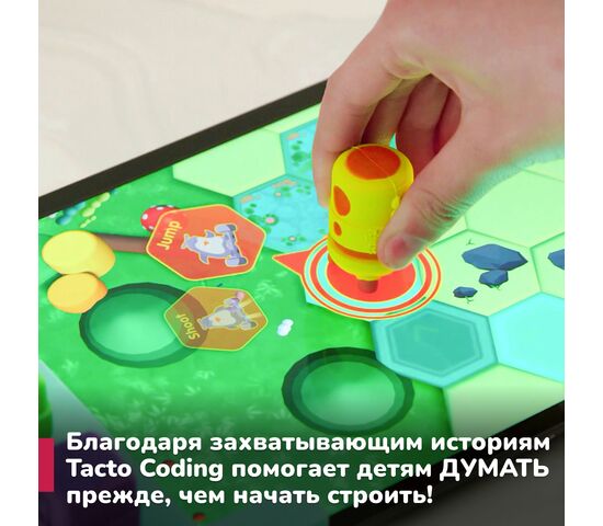 Shifu Настольная игра Tacto Маршруты, фото , изображение 4