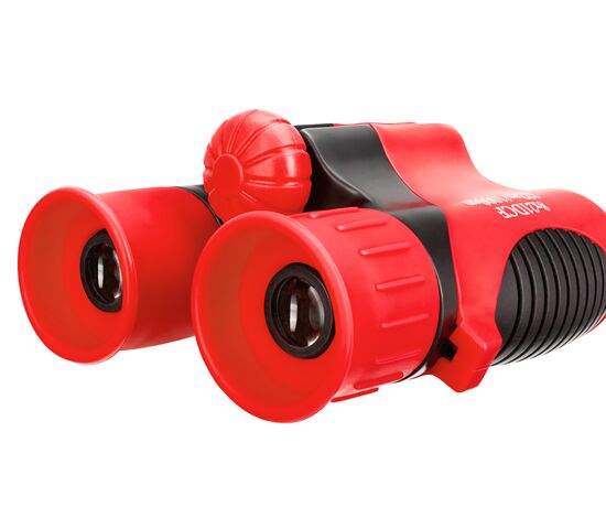 Бинокль Levenhuk LabZZ B2 Red Berry, Цвет: Red Berry, фото , изображение 8