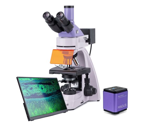 Микроскоп люминесцентный цифровой MAGUS Lum D400L LCD, фото 