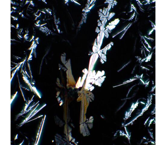 Устройство простой поляризации MAGUS SPD3, фото , изображение 7