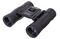 Бинокль Levenhuk Atom 12x25, фото 