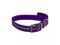 Шлейка для Artelv Tracker Светоотражающая фиолетового цвета, фото 