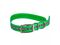 Шлейка для Artelv Tracker Светоотражающая зелёного цвета, фото 
