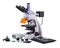 Микроскоп люминесцентный MAGUS Lum 400L, фото 