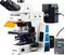 Микроскоп флуоресцентный исследовательский Opto-Edu A16.0910-HM, фото 