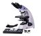 Микроскоп биологический MAGUS Bio 230BL, фото 