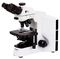 Микроскоп Альтами БИО 1, тринокулярный, фото 