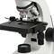 Микроскоп биологический Микромед С-11 (вар. 2B LED), фото 