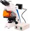 Микроскоп флуоресцентный Opto-Edu A16.2603-L-T4, фото 