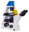 Микроскоп люминесцентный инвертированный Mshot MF52-N, фото 