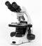 Микроскоп Micros МС 50 (XP ECO), бинокулярный, фото 