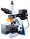 Микроскоп люминесцентный Dr.Focal SBM-1T FL, фото 