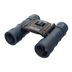 Бинокль Levenhuk Discovery Gator 10x25, фото 