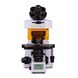 Микроскоп люминесцентный MAGUS Lum 450L, фото , изображение 6