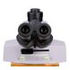 Микроскоп люминесцентный MAGUS Lum 450L, фото , изображение 8