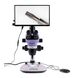 Микроскоп стереоскопический цифровой MAGUS Stereo D8T LCD BASE, фото , изображение 3