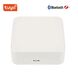 WiFi модуль шлюз Tuya с поддержкой Bluetooth и Zigbee, фото 