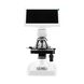 Цифровой микроскоп Микромед iMicro LCD В, фото , изображение 5